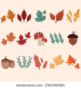 Colección de hojas de otoño. Hojas y conjunto aislado de diseño lindo y acogedor, Conjunto de elementos de caída de hoja para la cosecha festival de acción de gracias y elementos de diseño de vacaciones otoñales