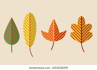 Autumn leaves collection, leaves isolated collection. Vector illustration.