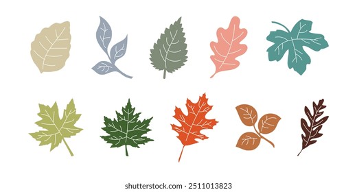 autumn leaves collection nature vector design isolated 