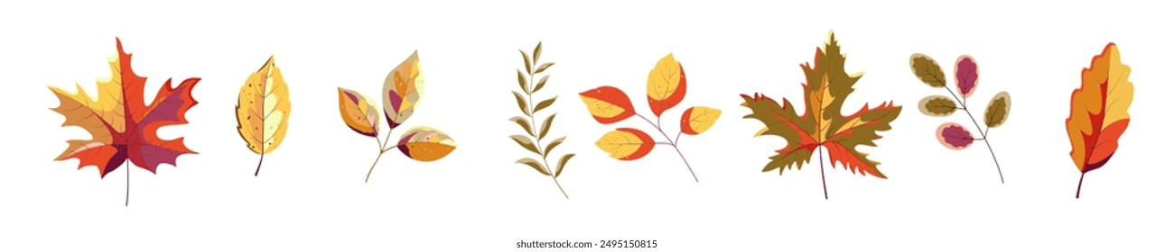 Autumn Leaves Collection on an isolated white background.  Fallen leaves.Collection for autumn backgrounds, frames, posters. 