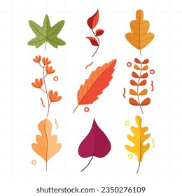 Autumn leaves collection on white background