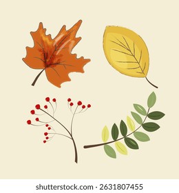 Autumn Leaves Collection on White Background. For Seasonal Designs, DIY Crafts, Invitations and Nature Themed Illustrations.Vector illustration 