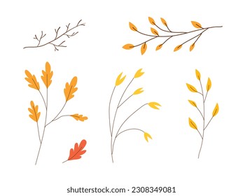 Autumn leaves collection. Autumn season botanical graphic elements