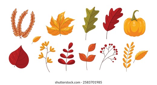 Autumn Leaves Collection. Seasonal elements for design. Hand drawn Maple leaf, fly agaric mushroom, acorn, rosehip. Fallen leaves. Botanical plant floral background. Foliage illustration