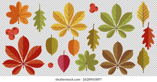 Autumn Leaves Collection. Seasonal elements for design. Hand drawn Maple leaf, fly agaric mushroom, acorn, rosehip. Fallen leaves.