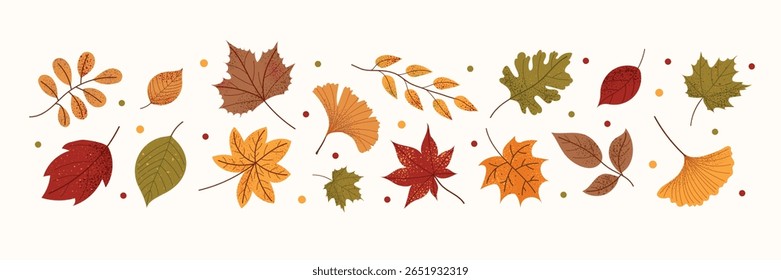 Autumn leaves collection. Seasonal fall foliage in warm tones. Cute flat botanical ilustration isolated on white background.