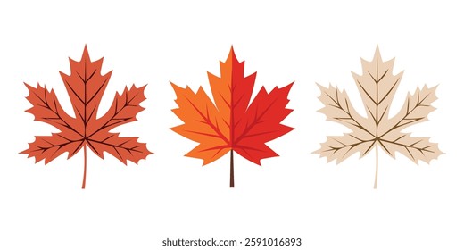 Autumn Leaves Collection - Seasonal Foliage Illustration.