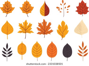 autumn leaves collection, set of leaves, leaves collection