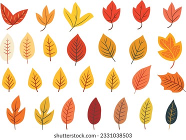 autumn leaves collection, set of leaves, leaves collection