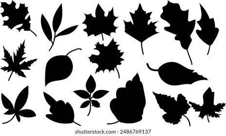 Autumn Leaves collection silhouette vector