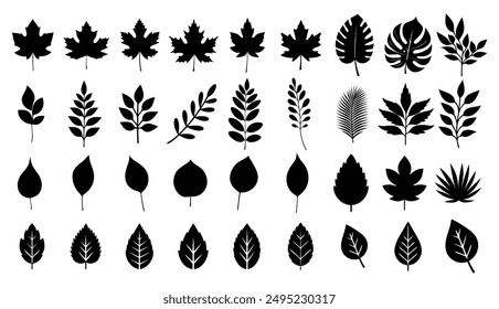 Autumn leaves collection silhouette vector graphic