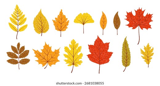 Herbst verlässt die Sammlung. Baumblattformen mit trendiger Textur