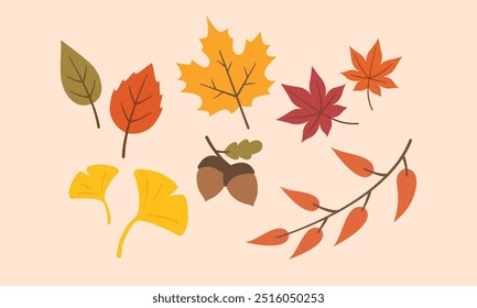 Autumn leaves collection, Vector elements of autumn leaves, maple, ginkgo and acorn