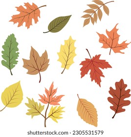 Gráfico vectorial de colección hojas de otoño