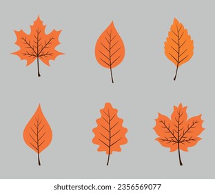 Autumn leaves. Collection. Vector graphics on gray background