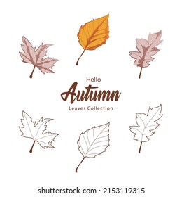 Autumn leaves collection vector illustration