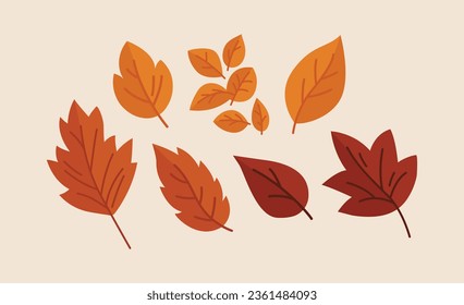 Autumn Leaves Collection Vector Illustration