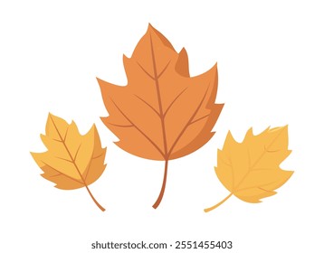 Autumn Leaves Collection - Vector Illustration	
