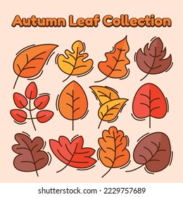 Autumn Leaves Collection vector set