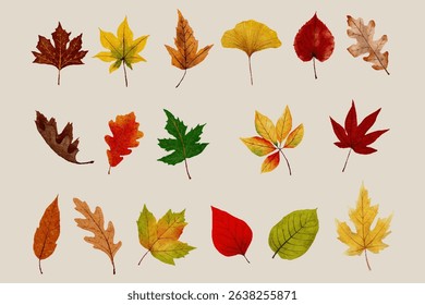 Autumn leaves collection with vibrant shades of orange,red,yellow,green,brown,Beautiful watercolor for fall seasonal dry foliage set design invitations,celebrating of Thanksgiving 
