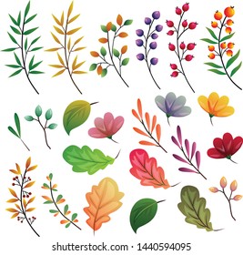 autumn leaves colored element collection set vector