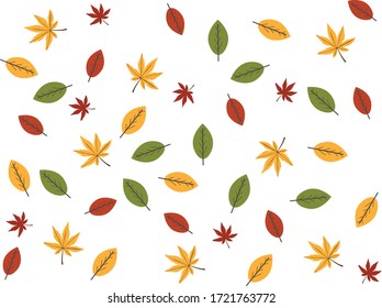Autumn leaves. Colored leaves. Leaves pattern.