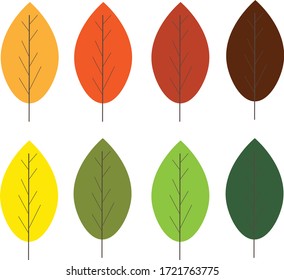 Autumn Leaves Colored Leaves Leaves Pattern Stock Vector (Royalty Free ...