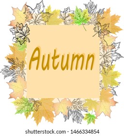 Autumn leaves colored vector banner background