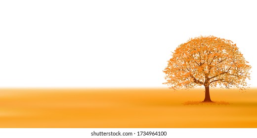 Autumn leaves Autumn colorful background