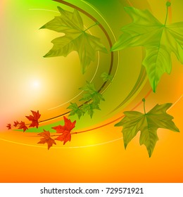 Autumn leaves colorful background