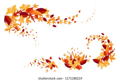 Autumn leaves colorful design elemen. 
Isolated on a white background. Vector