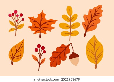 Autumn leaves, colorful leaf doodle, vector illustration, fall clip art set