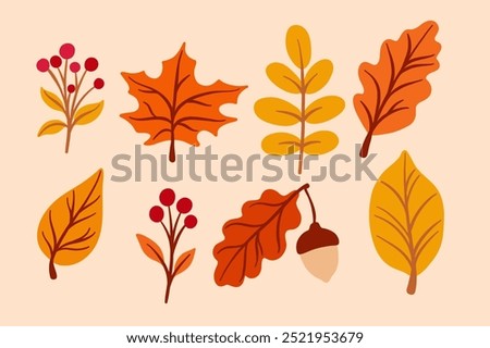Autumn leaves, colorful leaf doodle, vector illustration, fall clip art set