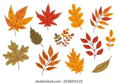 Herbstblätter buntes Set, verschiedene Herbstgestaltungselemente, gefallene Blätter von verschiedenen Bäumen, handgezeichnetes Blatt, Vektorgrafik