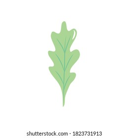 concepto de hojas de otoño, hoja de icono de roble sobre fondo blanco, estilo plano, ilustración vectorial