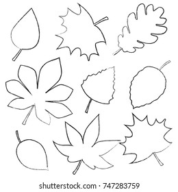 autumn leaves contour