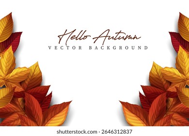 autumn leaves decor border frames white background.autumn seasonal concept banner,poster and card design vector illustration.