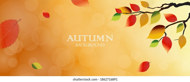 Autumn leaves decorate a beautiful nature bokeh background. Leaf vector