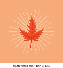 Autumn leaves design