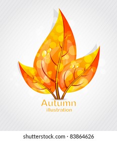 Autumn leaves design