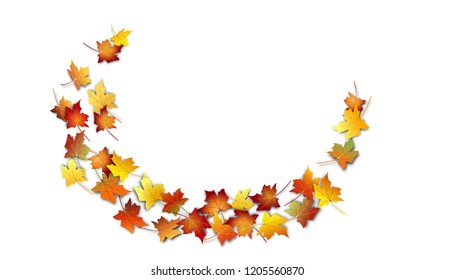 Autumn leaves design element. Fall colorful maple leaves border on white background. Vector illustration