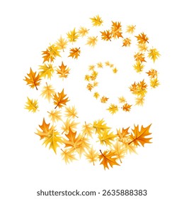 Autumn leaves design element. Fall colorful maple leaves border on white background. Vector illustration