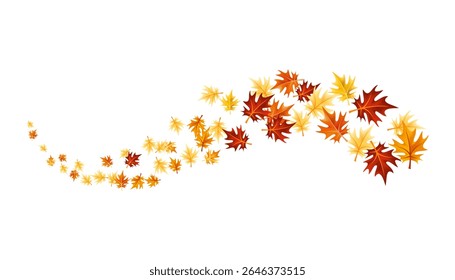 Autumn leaves design element. Fall colorful maple leaves border on white background. Vector illustration