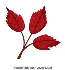 Hojas de otoño. Elemento de diseño otoñal. Ilustración vectorial, estilo de dibujos animados.