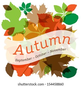 Autumn leaves design elements