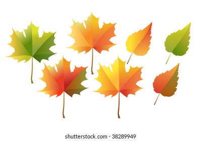 Autumn Leaves Design Elements
