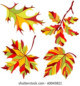 Autumn Leaves Design Elements