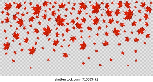 Autumn leaves design elements. Maple fall leaves on transparent background.