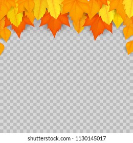 Autumn leaves. Design layout. Isolated on transparent background. Vector