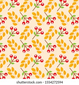 Autumn leaves design, season nature ornament garden decoration and botany theme Vector illustration